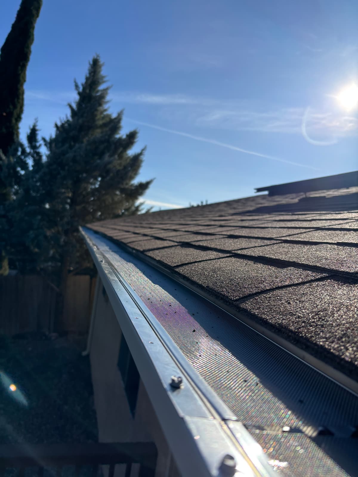 Do Gutter Guards Work in the Arizona Desert? — Grizzly Rain Gutters, Phoenix AZ
